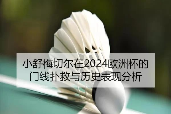 小舒梅切尔在2024欧洲杯的门线扑救与历史表现分析